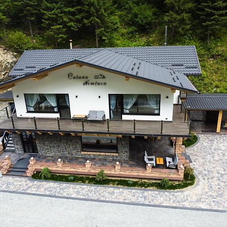 Cabana Nemtucu Borşa Dış mekan fotoğraf