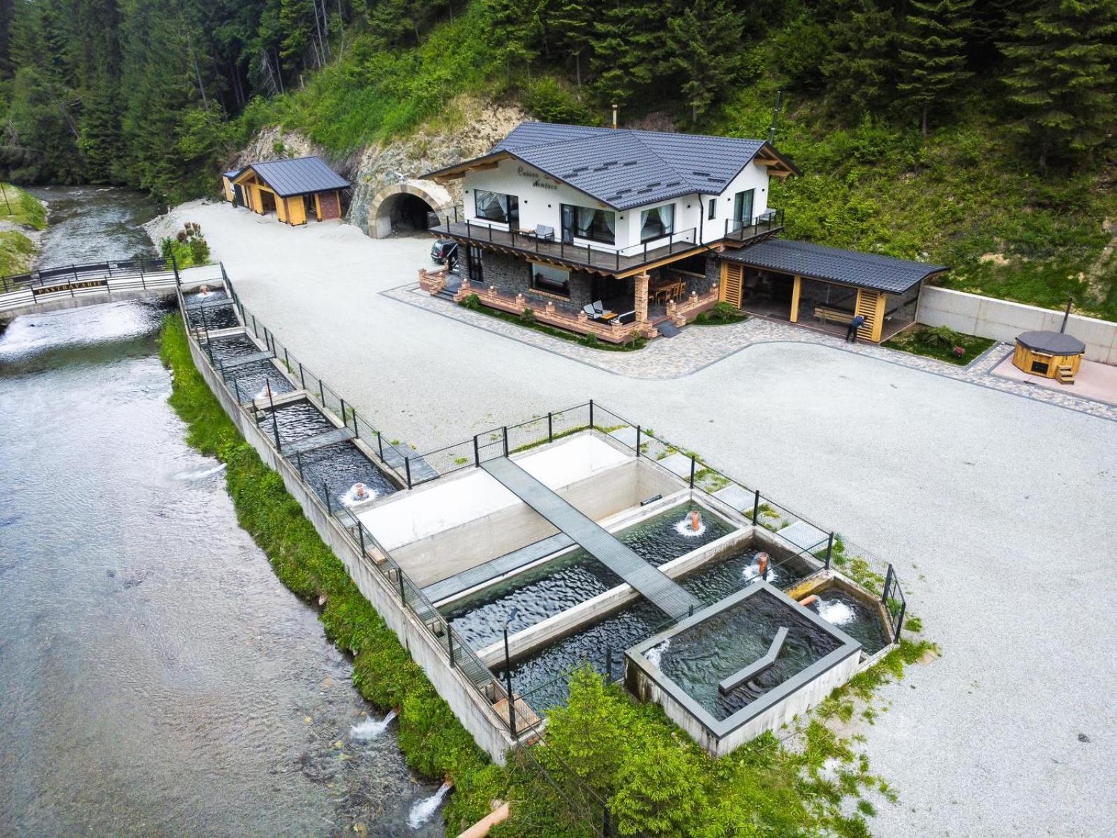 Cabana Nemtucu Borşa Dış mekan fotoğraf